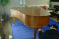 Baby Grand Piano